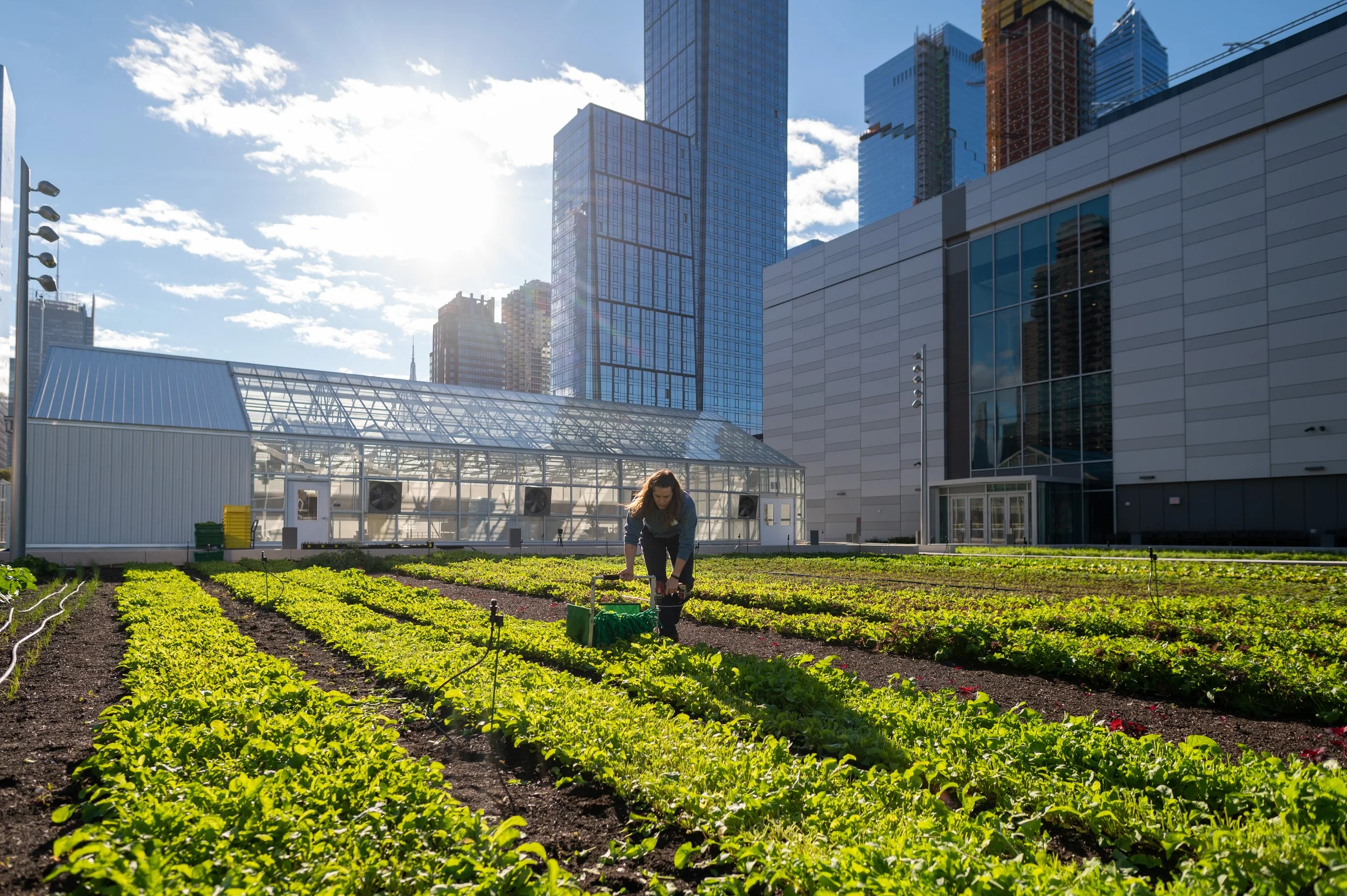 Javits Center Rooftop Farm Project - Brooklyn Grange